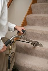 w14 carpet cleaners hammersmith